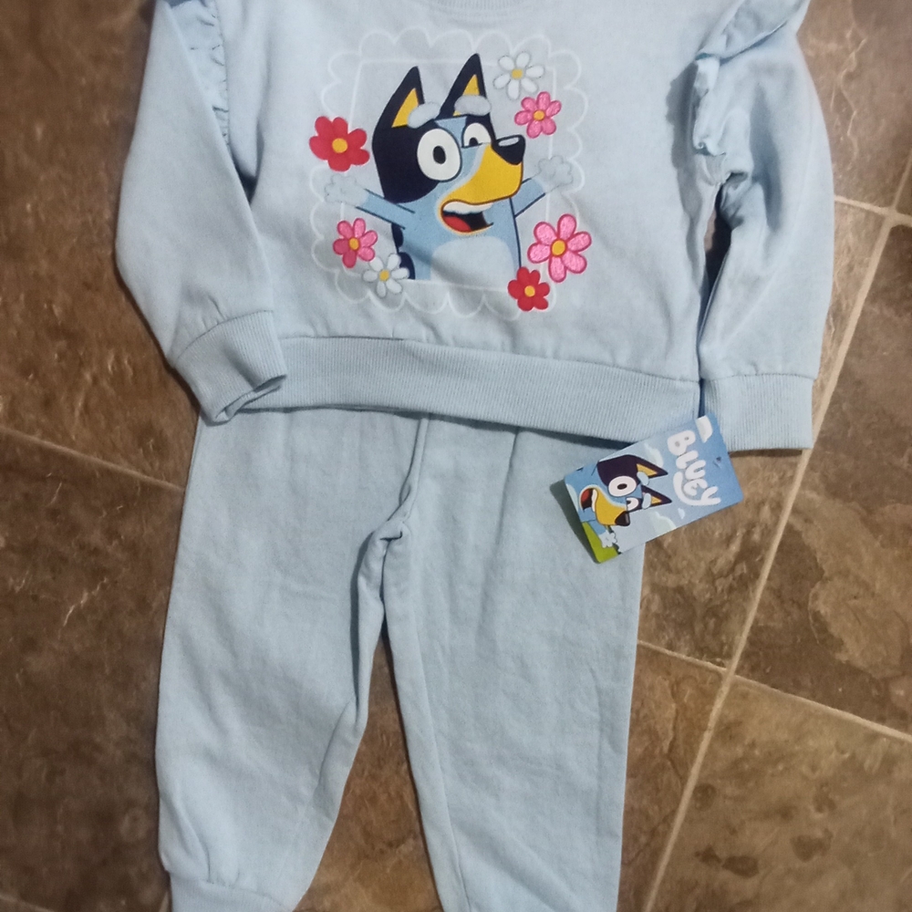Bluey Light Blue Kids Matching Set with Cartoon Bluey Graphic